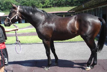 �������� ����