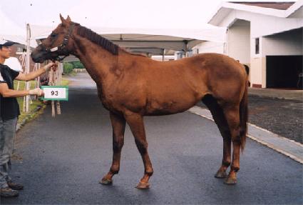 õ����� ����