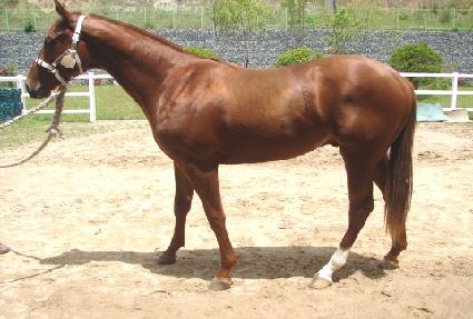 ������ ����