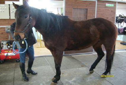 �����÷����ڸ� ����