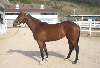 ���ѵ�ǳ ����