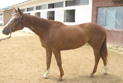 ���ǵ��� ����