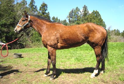 ������ǳ ����