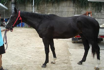 ����Ƽ���� ����