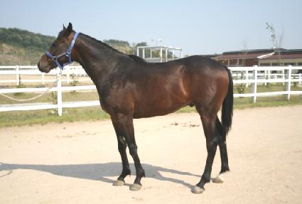 �����ѿ��� ����