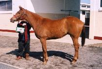 ���󿩰� (JISANGYEOGEOL) ����