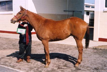 ���󿩰� ����