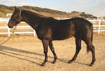 ��󼮱� ����