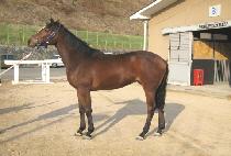 �ְ����� (CHOEGOJEOLJEONG) ����