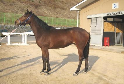 �ְ����� ����