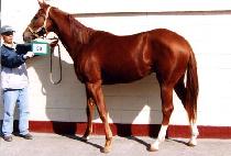 �����󼼷� (JIGUSANG SERYEOK) ����