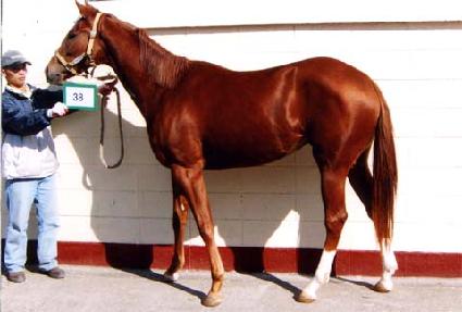 �����󼼷� ����