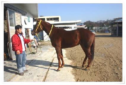 ���ɼ��� ����