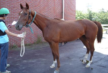 ����ó�� ����