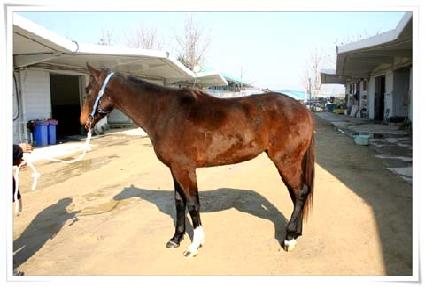 ����Ʈ��� ����