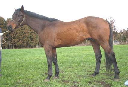 ���θ���Ŀ ����