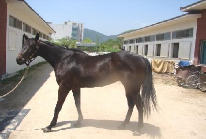 ��뿵�� ����