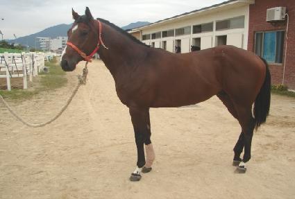 �����Ҹ� ����