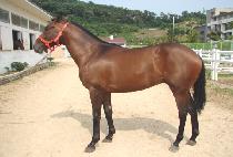 ����ġ (HAEK PUNCH) ����