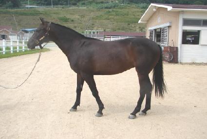 �����̾����� ����