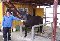 �����ֺ� (ZIF ABBIES) ����