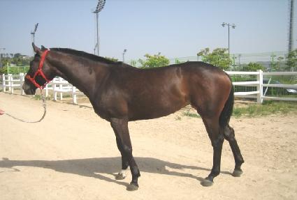 ���̱��� ����