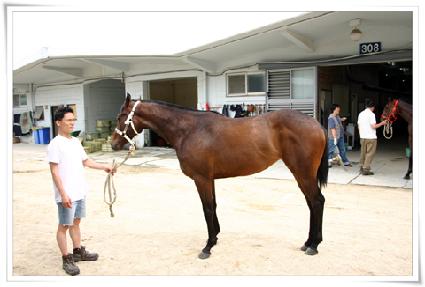 ���ӽ�Ʈ ����