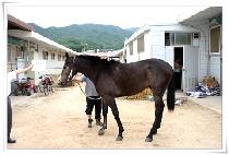 ������ (JEONGSANG DOLPA) ����