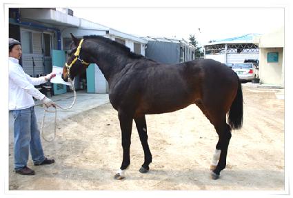 �ֽ��� ����