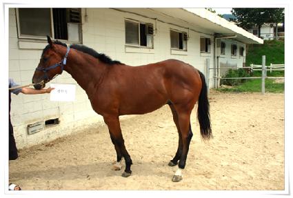 ���л� ����