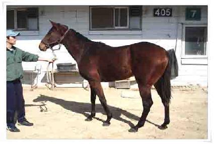 ���ξ˳��� ����