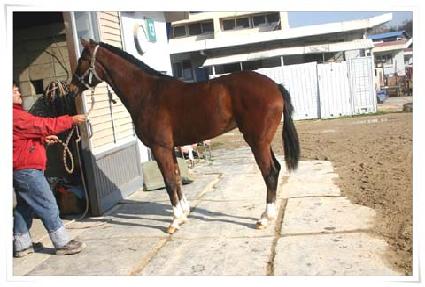 �������� ����