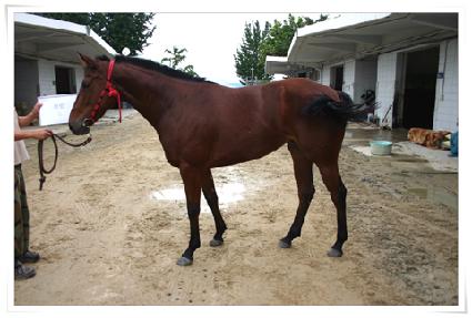 ���� ����