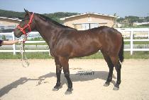 �߿����� (JUNGWONPYEONGJEONG) ����