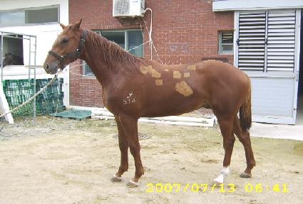 ���̺���Ƽ ����