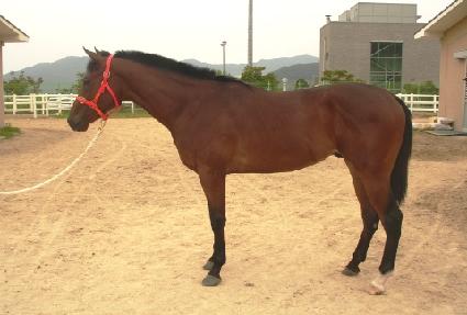 �������� ����