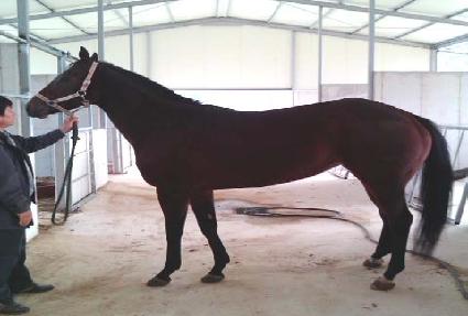 ��������� ����