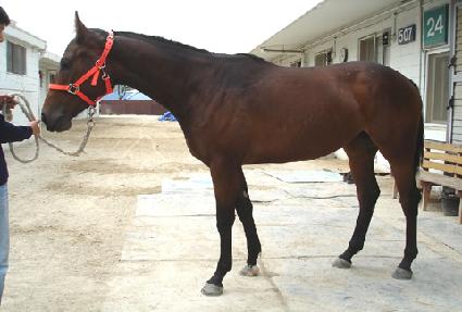 ����ũ ����