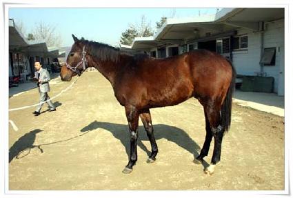 �����ݱ� ����