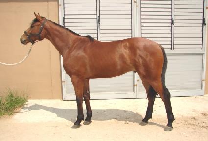 ��ȣ���� ����