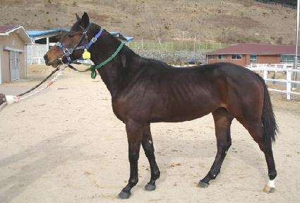 �����е� ����