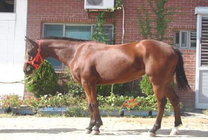 õ���ǿ��� ����