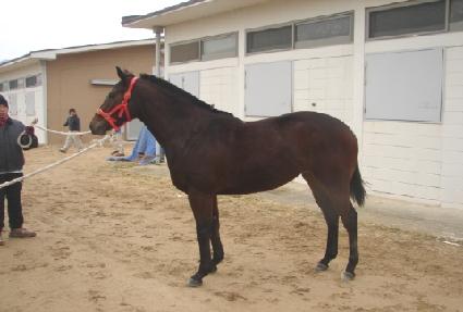 ��Ÿ�� ����