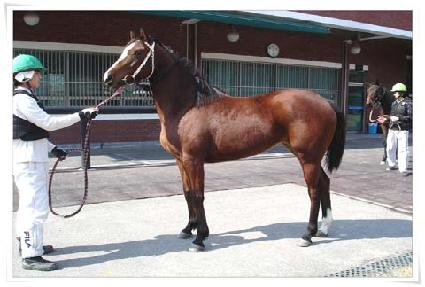 �¸����� ����