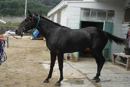 ���ٿ� ����