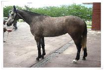 �׵κ� (JUKDUBONG) ����