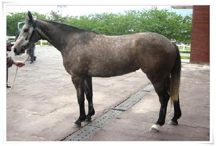 �׵κ� ����