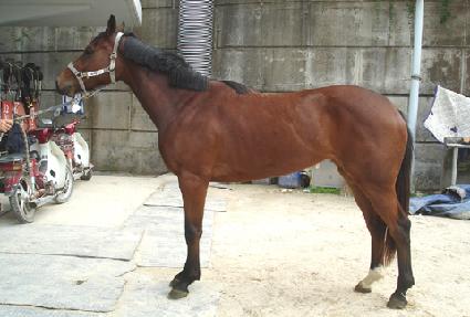 ��������� ����