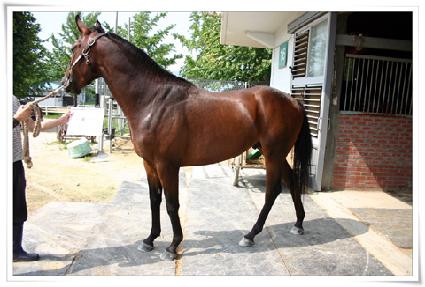 ���б��� ����