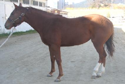 ���� ����